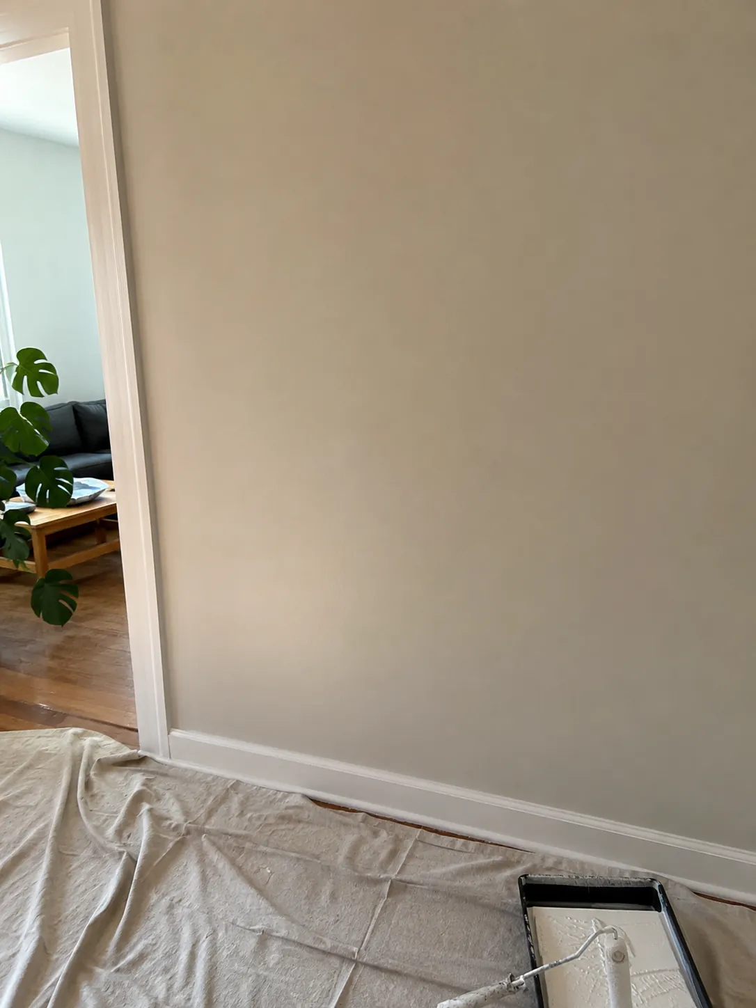 Drywall wall repaired and freshly repainted in a Spring Valley home